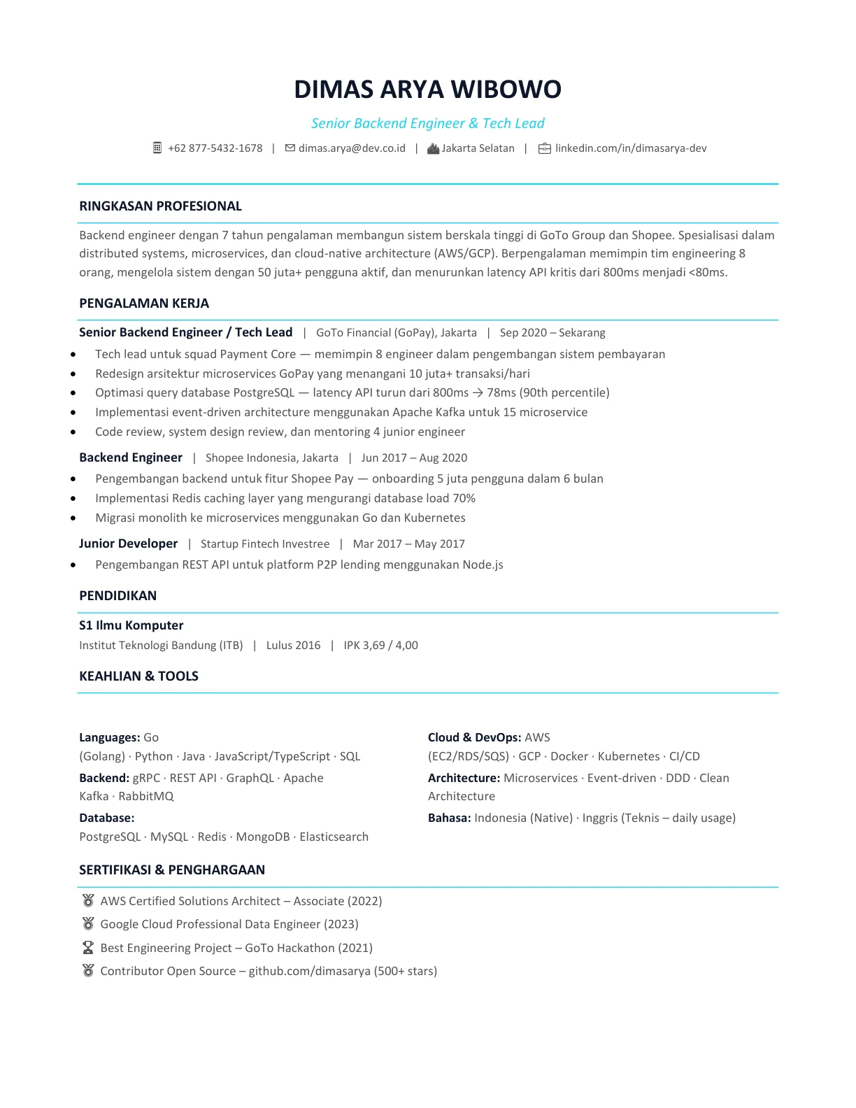 template cv programmer indonesia profesional gratis
